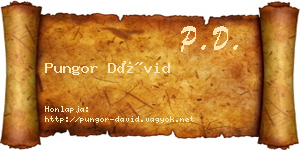 Pungor Dávid névjegykártya